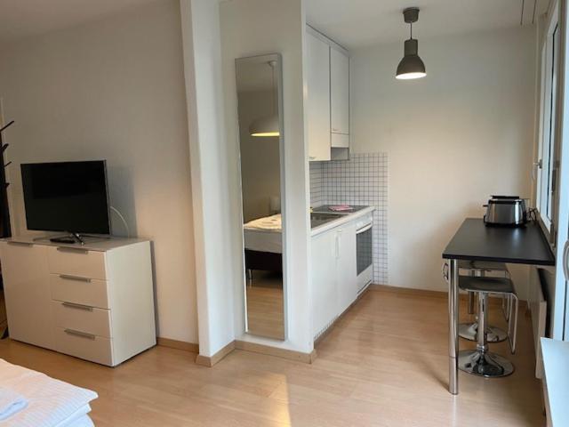 Apartment Terrific In The Centre - Art 2 Zürich